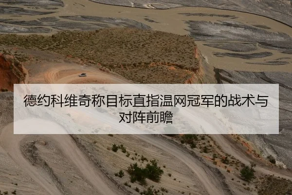德约科维奇称目标直指温网冠军的战术与对阵前瞻