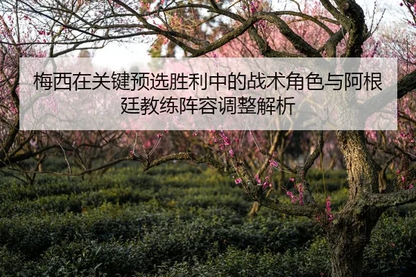 梅西在关键预选胜利中的战术角色与阿根廷教练阵容调整解析
